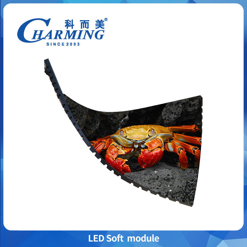 Module d'écran à LED flexible de 320 × 160 × 7,5 mm 270 g Lumière P2 P2.5 P3 P4 Module d'écran à LED intérieur Écran LED événement