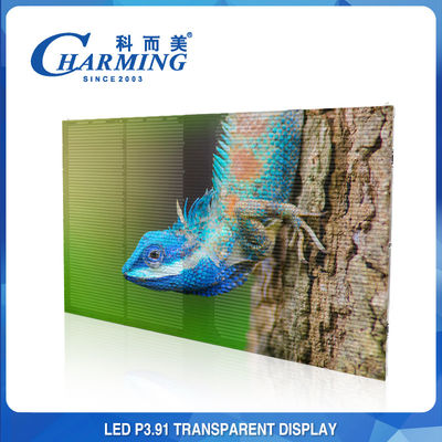 Anti-collision extérieure P3.91 d'affichage visuel transparent imperméable de mur de LED