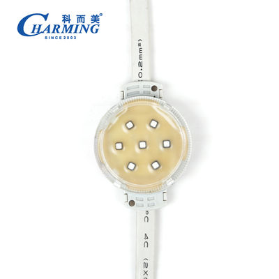 Lampes à pixel SPI 50C étanches pour une utilisation sur scène en extérieur Modèle SMD3535 IP66 Décoration murale extérieure